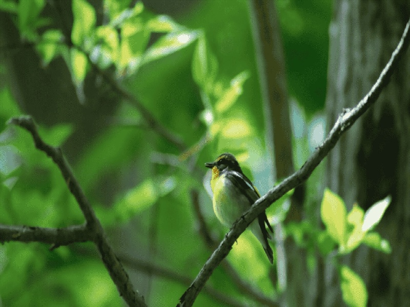 香港试管宝德（做试管成功的人）